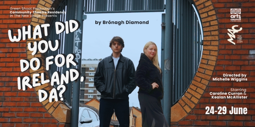 What Did You Do For Ireland, Da? By Bronagh Diamond