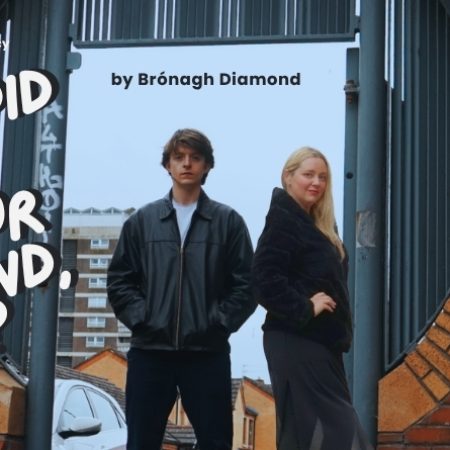 What Did You Do For Ireland, Da? By Bronagh Diamond
